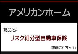 アメリカンホームの自動車保険